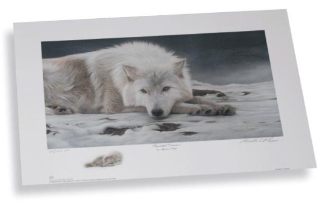 Beautiful Dreamer - Arctic Wolf won from over 900 entries as Ducks Unlimited National Portfolio Winner in the year 2007. 
