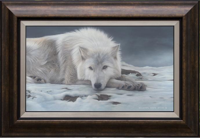 Beautiful Dreamer - Arctic Wolf, limited edition giclée wildlife prints on canvas are available by Canadian wildlife artist Michael Pape.