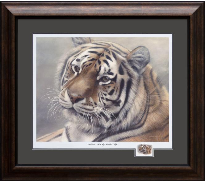 Siberian Mist - Amur (Siberian) Tiger, Framed Giclée Paper by Canadian Wildlife Artist Michael Pape