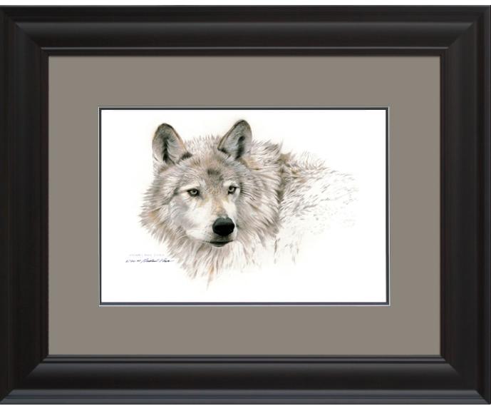 Wolf Head Study, Framed Giclée Paper by Canadian Wildlife Artist Michael Pape