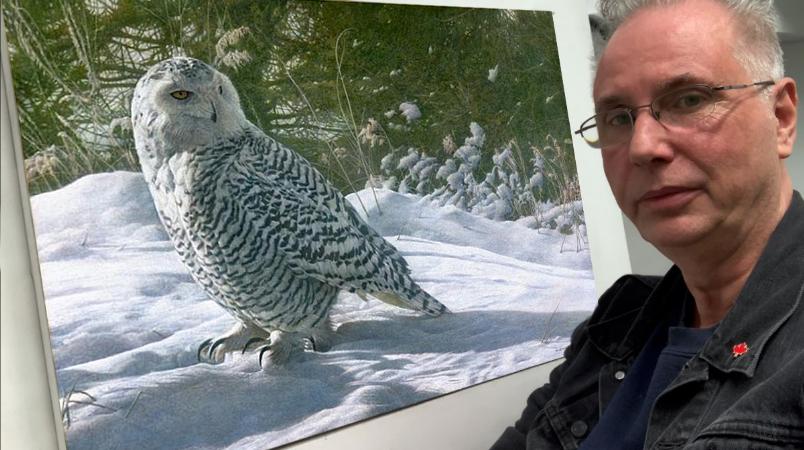 Canadian Wildlife Artist Michael Pape explains the idea and thought behind creating the wildlife painting “Persistence - Snowy Owl”. 