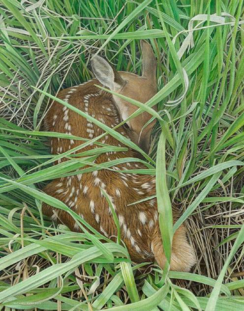 Dear Innocence by Canadian Wildlife Artist Michael Pape. Original Acrylic Painting on Canvas is Sold. Exclusive Limited Edition Giclée Watercolor Paper or Canvas Print is available by visiting www.theartofmichaelpape.com