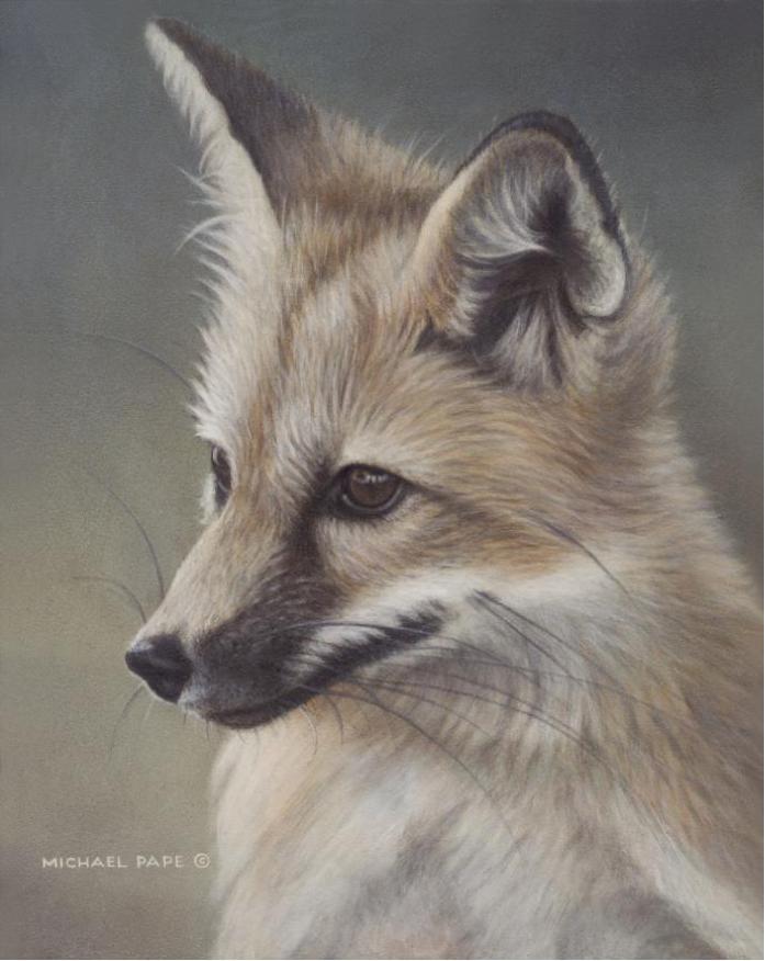 Red Fox Kit Study, original paining on Masonite is sold. Limited edition giclée wildlife prints on water colour paper are available by Canadian wildlife artist Michael Pape.