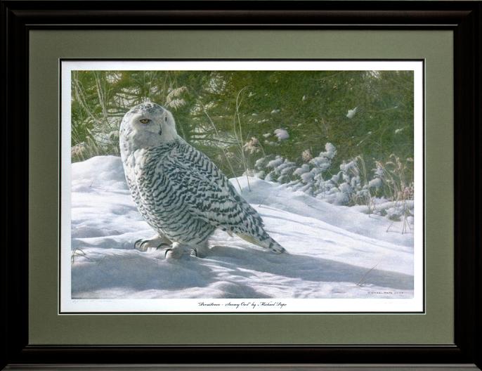 Persistence – Snowy Owl, original acrylic on canvas wildlife painting is available for purchase.  Limited edition giclée wildlife prints on paper & canvas in three sizes are available by Canadian wildlife artist Michael Pape.